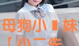 小学妹在线观看,光影交织的青春记忆